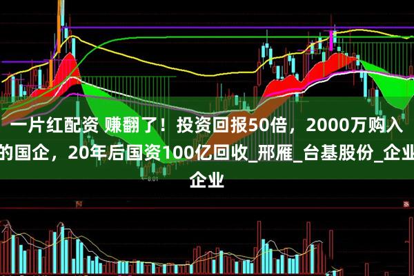 一片红配资 赚翻了！投资回报50倍，2000万购入的国企，20年后国资100亿回收_邢雁_台基股份_企业