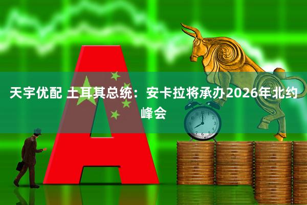 天宇优配 土耳其总统：安卡拉将承办2026年北约峰会