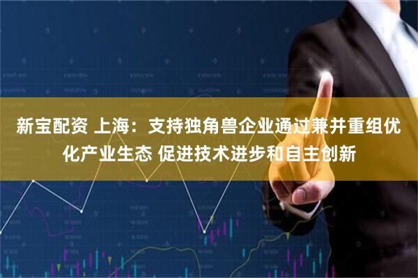 新宝配资 上海：支持独角兽企业通过兼并重组优化产业生态 促进技术进步和自主创新