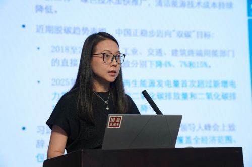 能源基金会战略规划主任 傅莎 国是直通车 赵斌 摄