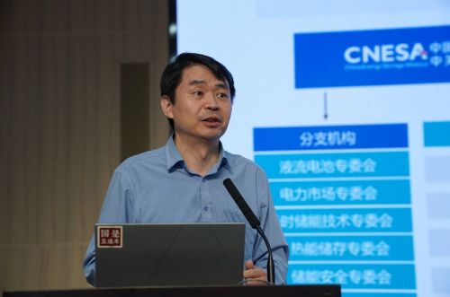 中关村储能产业技术联盟常务副理事长 俞振华 国是直通车 赵斌 摄