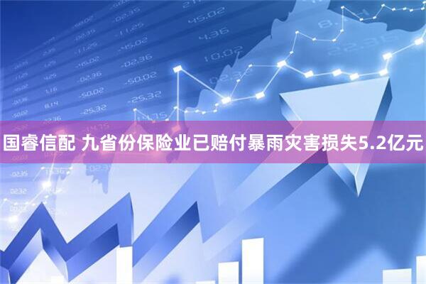国睿信配 九省份保险业已赔付暴雨灾害损失5.2亿元