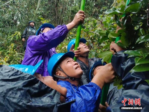 维度配资 “麦德姆”再次登陆防城港 广西电网中秋战台风送光明
