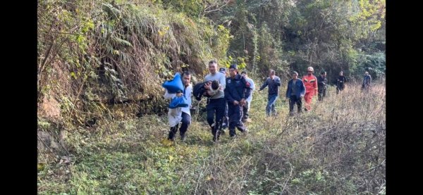 金多多 失踪三日的重庆2岁女童找到了！与爷爷上山放牧时走失