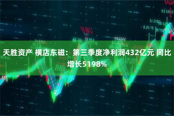 天胜资产 横店东磁：第三季度净利润432亿元 同比增长5198%